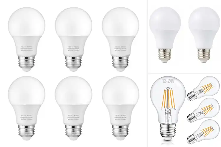 Detailed view of Best 12V Bulbs