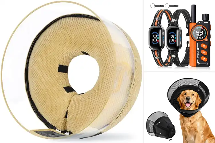 Detailed view of Best 2-In-1 Comfort And Protection Collar