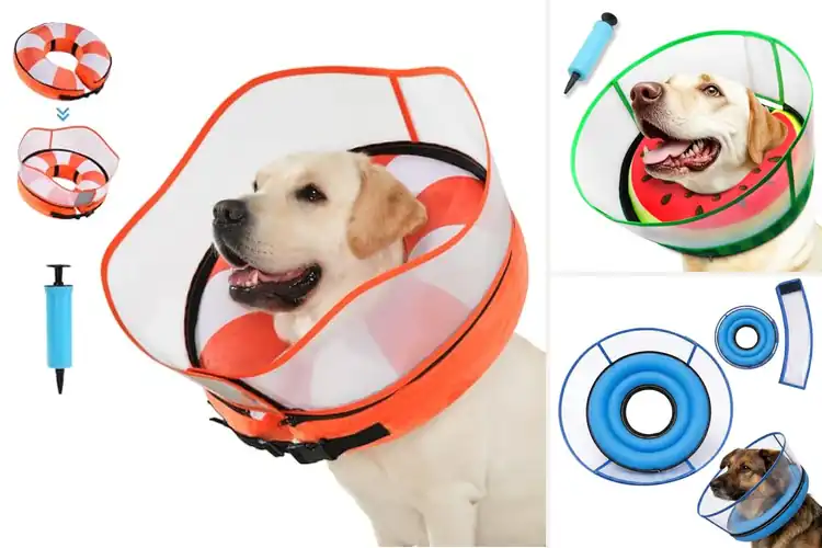 Detailed view of Best 2 In 1 Dog Cones For Protection