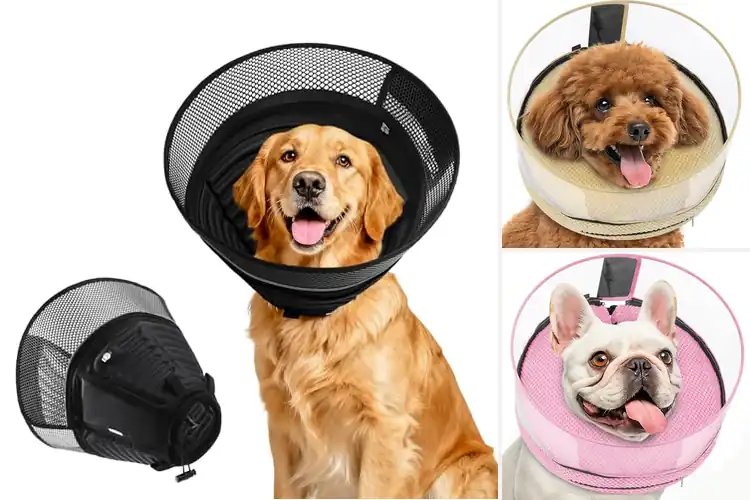 Detailed view of Best 2In1 Comfort And Protection Collar