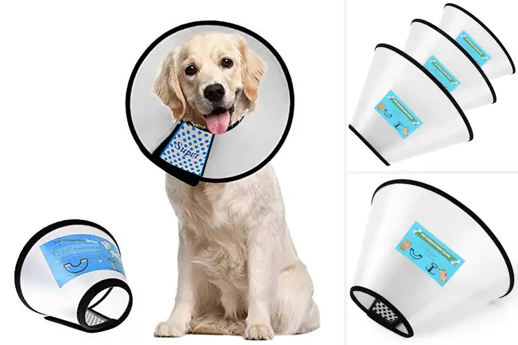 Detailed view of Best Adjustable Dog Cone Collar