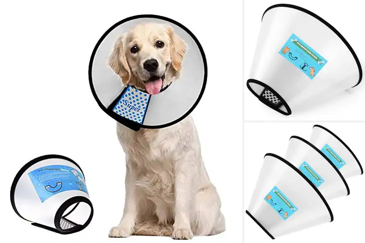 Detailed view of Best Adjustable Dog Cone
