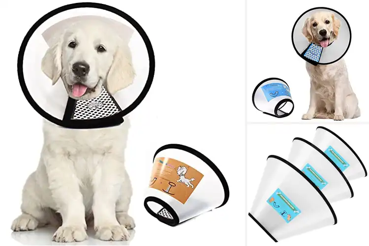 Detailed view of Best Adjustable Dog Cones