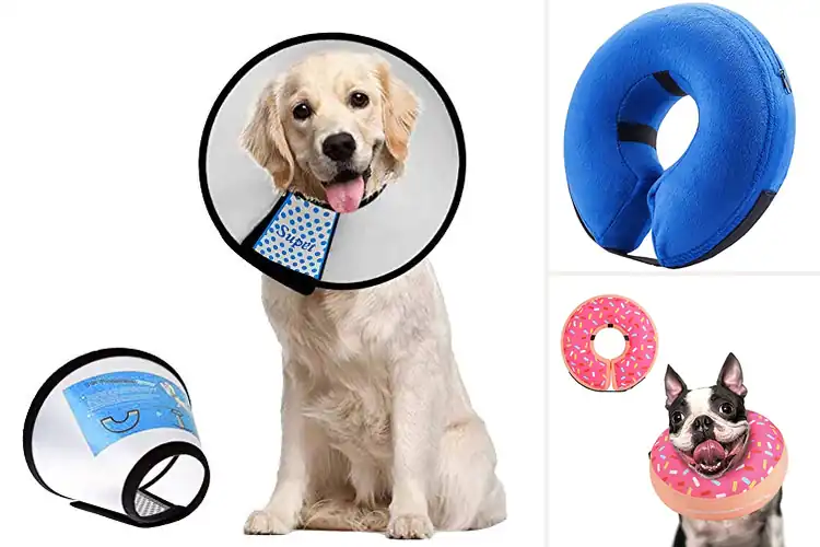 Detailed view of Best Adjustable Dog Recovery Collar
