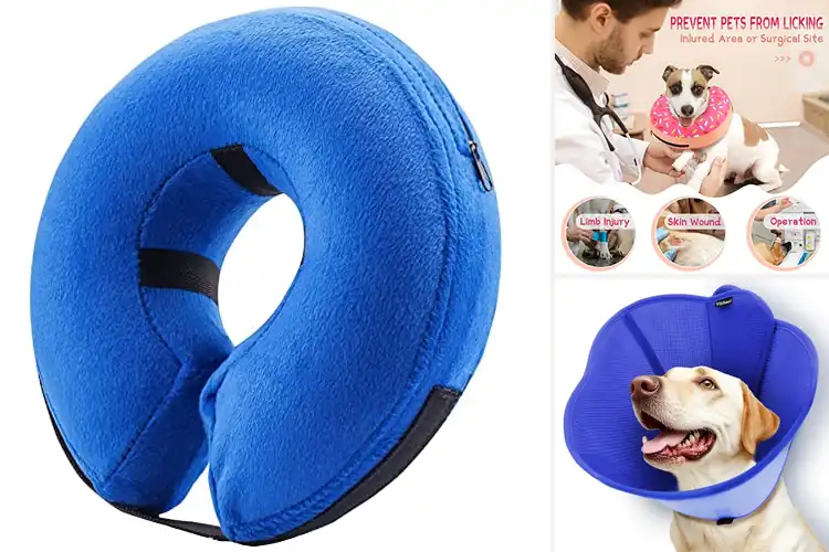 Detailed view of Best Adjustable Dog Recovery Collars