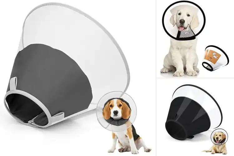 Detailed view of Best Adjustable Dual Velcro Dog Recovery Collar