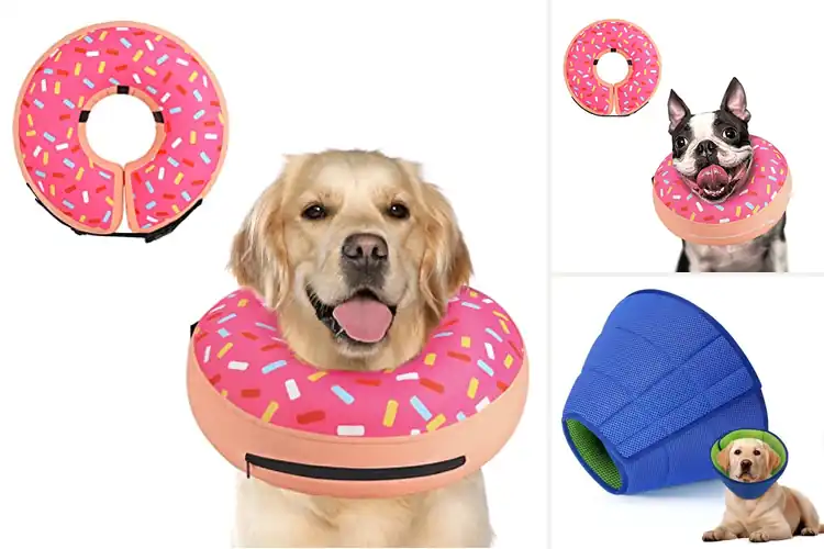 Detailed view of Best Adjustable Velcro Dog Collar Donut