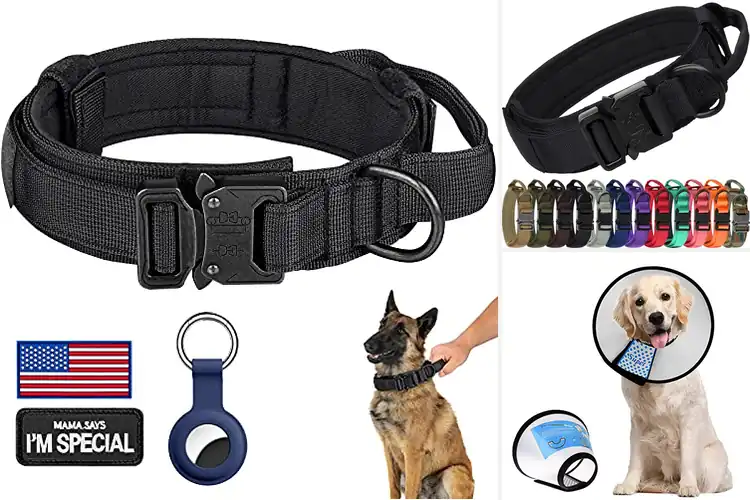Detailed view of Best Adjustable Velcro Dog Collar