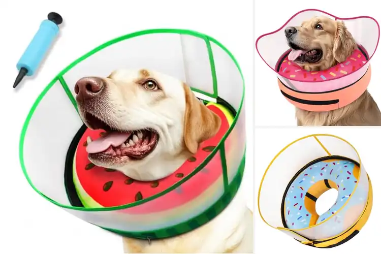 Detailed view of Best Adjustable Velcro Dog Collar Shield