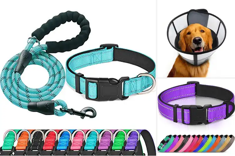 Detailed view of Best Breathable Dog Neck Collar