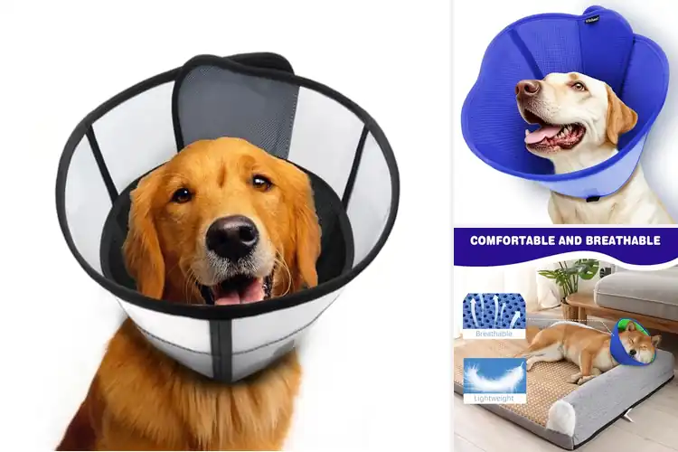 Detailed view of Best Breathable Dog Recovery Collars