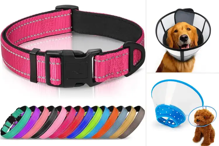 Detailed view of Best Breathable Soft Dog Collar