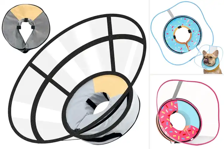 Detailed view of Best Breathable Sponge Core Collar