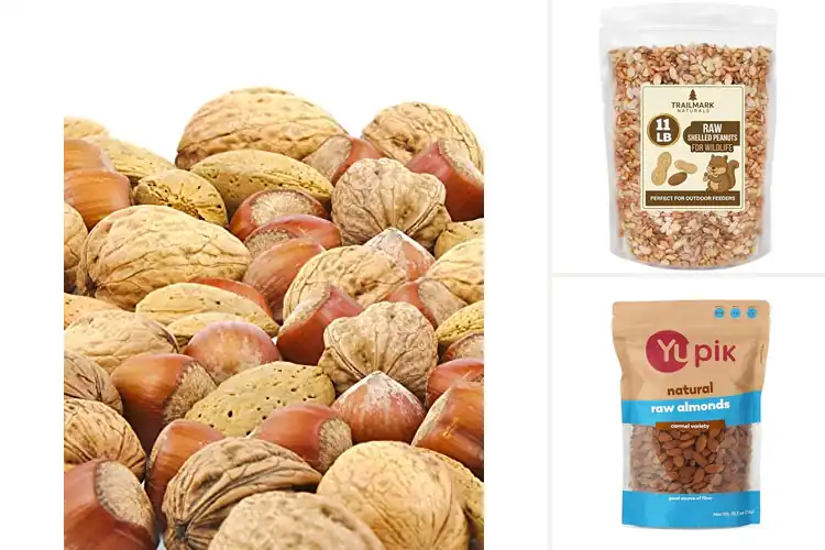 Detailed view of Best Bulk Raw Nuts