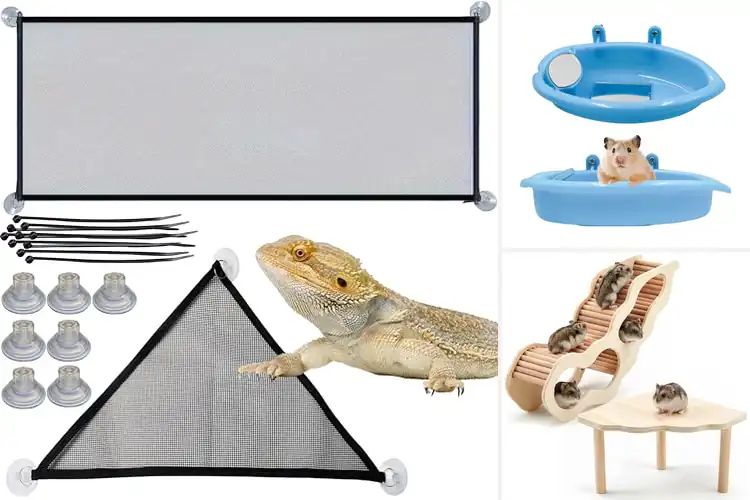Detailed view of Best Cage Enrichment Kits
