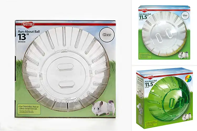 Detailed view of Best Chinchilla Exercise Balls: Top 9 Safe & Fun Picks