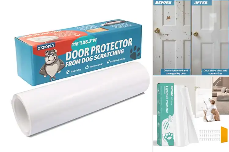 Detailed view of Best Clear Dog Shields