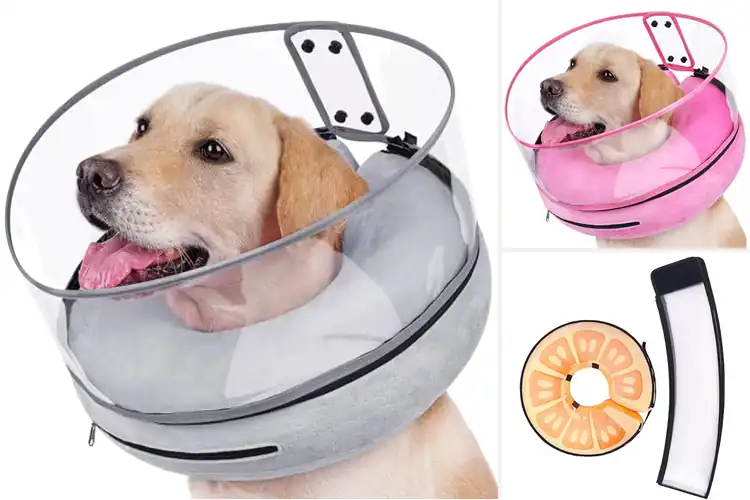 Detailed view of Best Clear Shield Dog Collar For Visibility