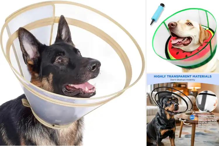 Detailed view of Best Clear Shield Dog Cone: Top 10 Comfy & Lightweight Picks