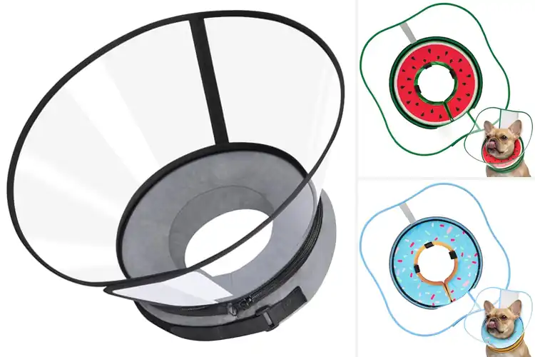 Detailed view of Best Clear View Dog Collar Shield