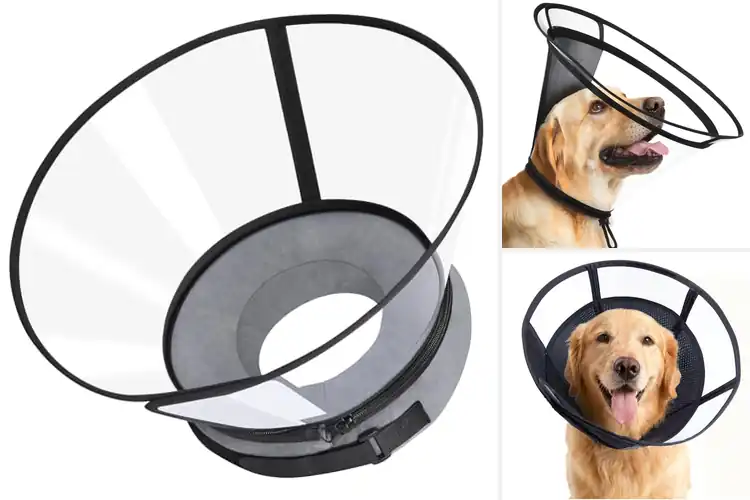 Detailed view of Best Clear View Dog Cones for Safe, Comfortable Healing