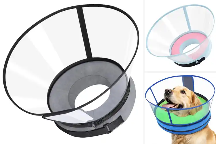 Detailed view of Best Clear View Shield Collar