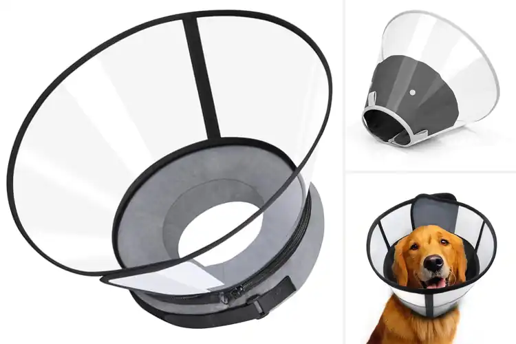 Detailed view of Best Clear Vision Dog Cone Alternative