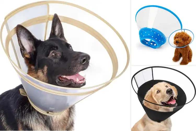 Detailed view of Best Clear Vision Dog Cone: Top 10 Picks for Happy Recovery