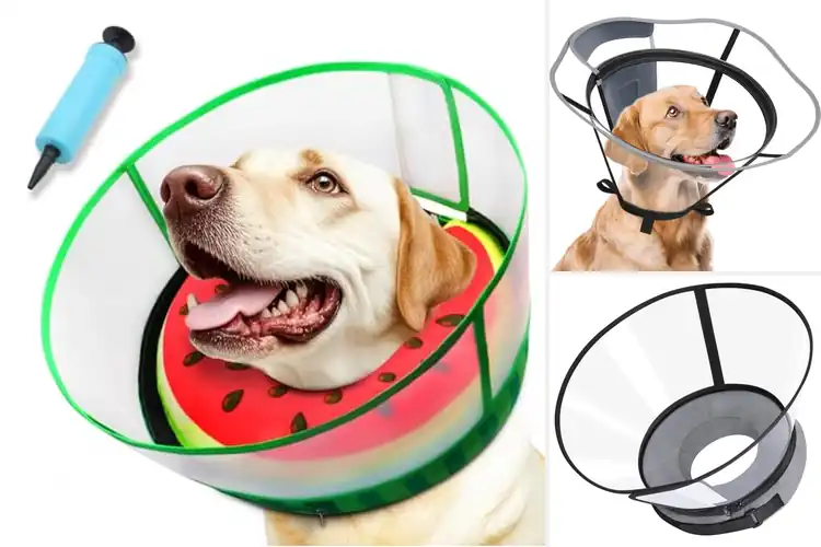 Detailed view of Best Clear Vision Dog Cone Shield