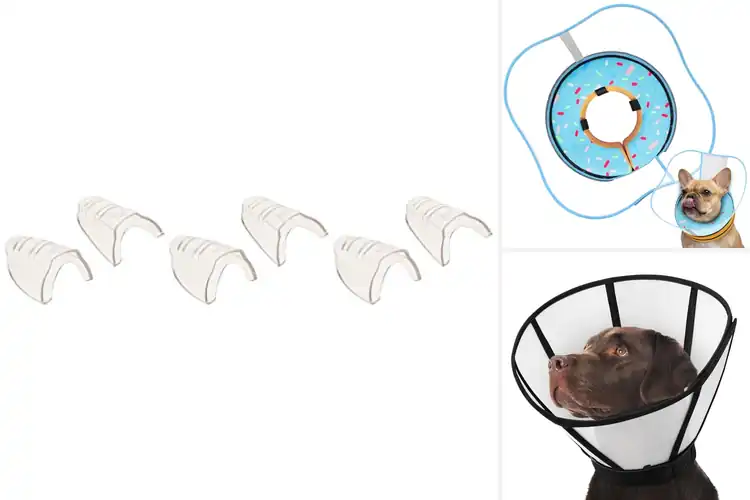 Detailed view of Best Clear Vision Shield Collar