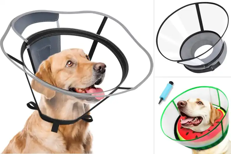 Detailed view of Best Clear Vision Shield Dog Cone