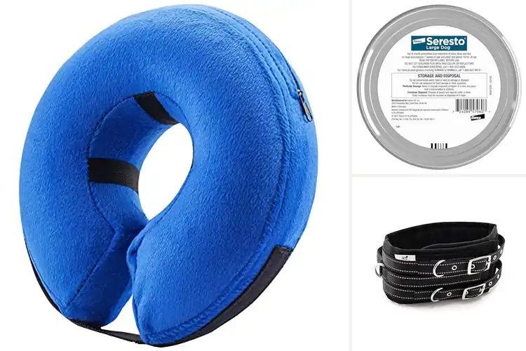 Detailed view of Best Comfort And Protection Dog Collars