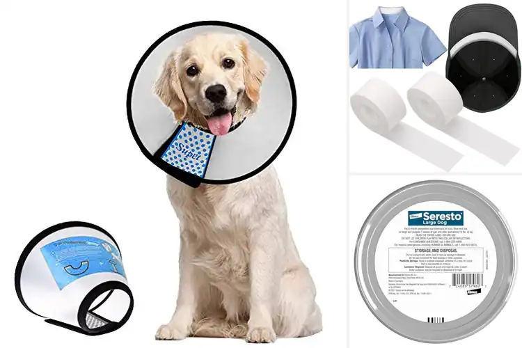 Detailed view of Best Comfort Protection Collars