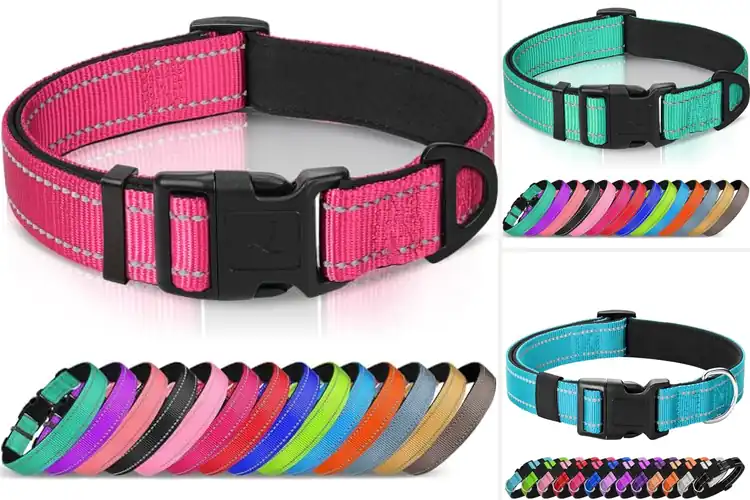 Detailed view of Best Comfortable Dog Collars