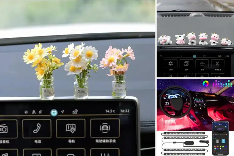 Detailed view of Best Dashboard Decorations