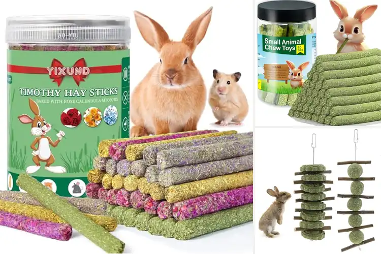 Detailed view of Best Dental Health Chews For Rodents