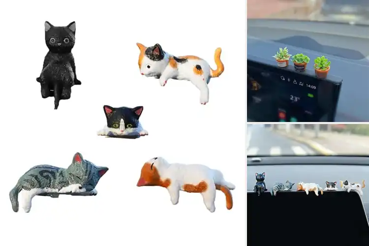 Detailed view of Best Desk Or Dashboard Ornaments