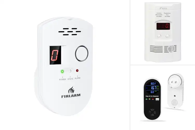 Detailed view of Best Digital Gas Alarms