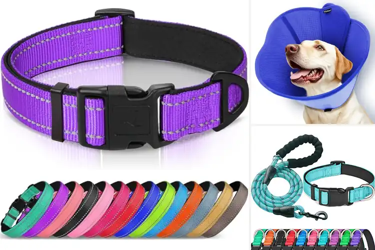 Detailed view of Best Dog Breathable Collars