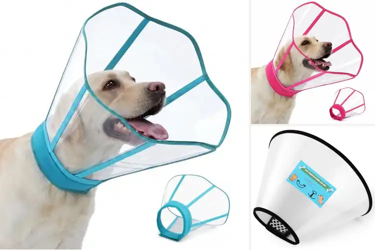 Detailed view of Best Dog Clear Vision Collars for Easy Recovery