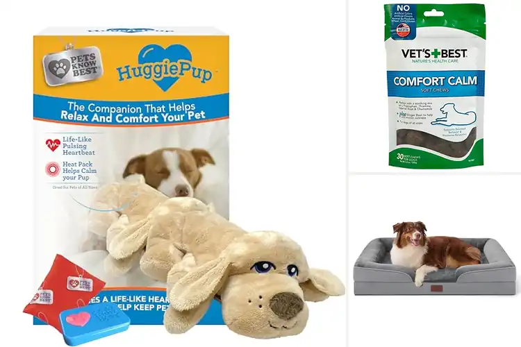Detailed view of Best Dog Comfort Products: Top Picks for Happy, Relaxed Pets
