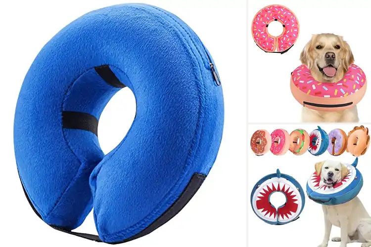 Detailed view of Best Dog Cone Alternatives
