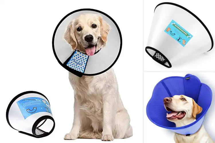 Detailed view of Best Dog Cone Collars for a Smooth, Stress‑Free Recovery