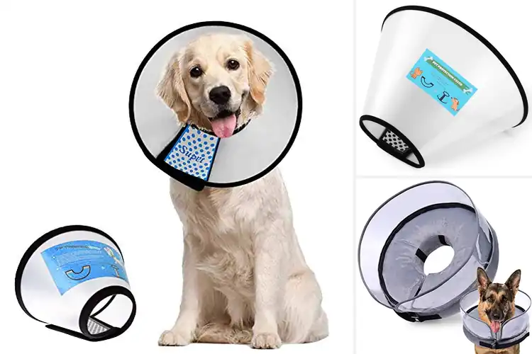 Detailed view of Best Dog Cones For Licking