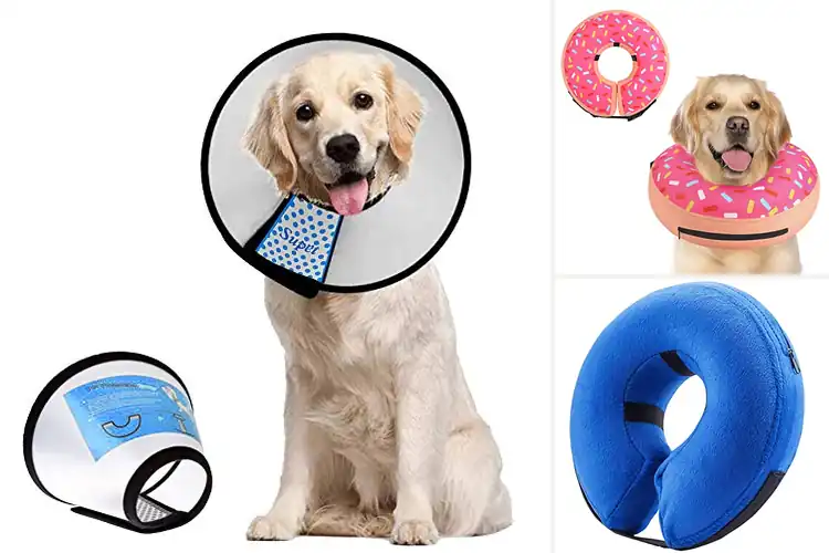 Detailed view of Best Dog Cones For Surgery Recovery