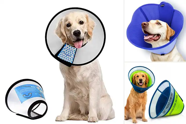 Detailed view of Best Dog Cones for Comfort & Quick Recovery
