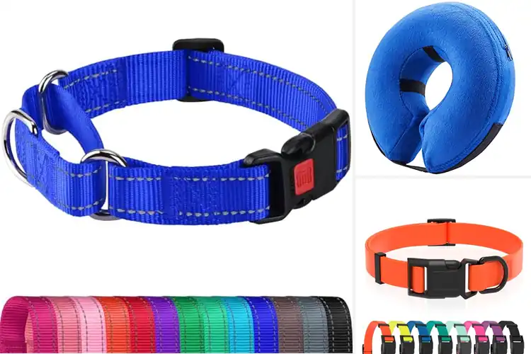 Detailed view of Best Dog Easy-to-Wash Collars for Easy Cleaning