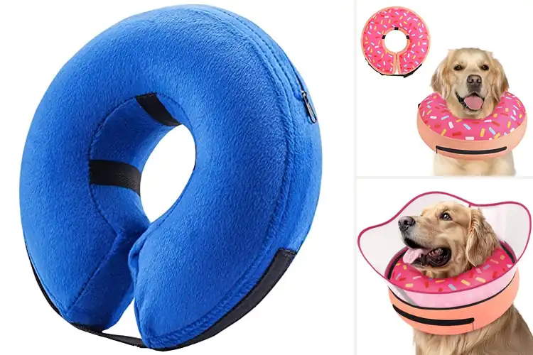 Detailed view of Best Dog Inflatable Cone Alternatives