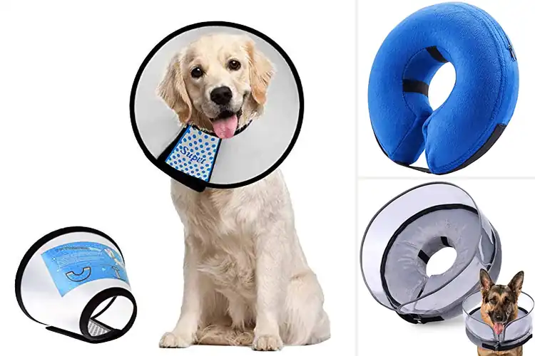 Detailed view of Best Dog Licking Prevention Collars