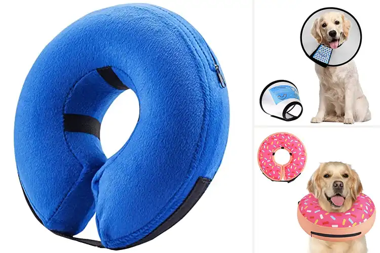 Detailed view of Best Dog Neck Collars for Comfort & Safety